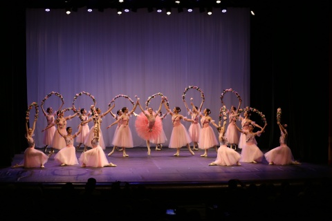 Master Ballet Cia. de Dança Rita Albuquerque